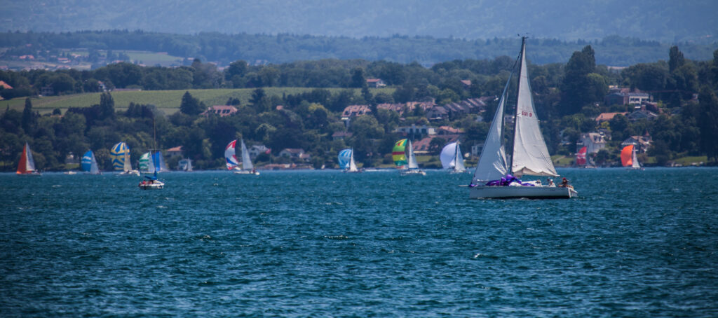 voiliers sur le lac léman