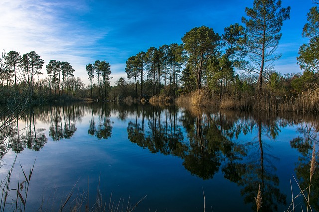 Bassin d'Arcachon