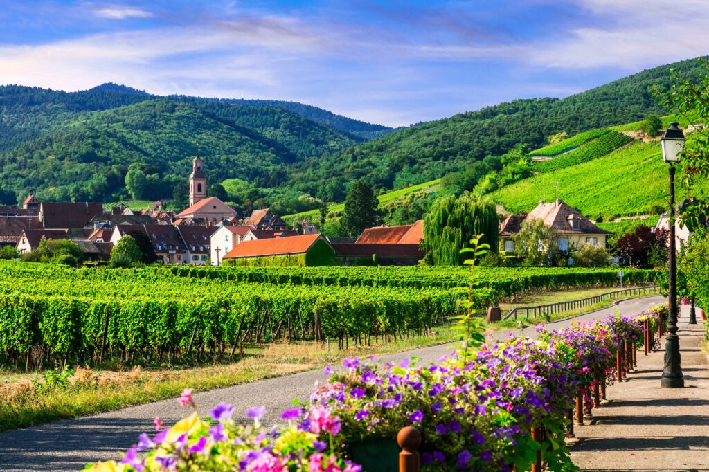 Les Vosges