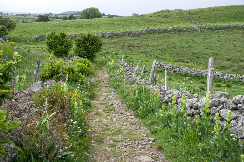 chemin de randonnée en Auvergne