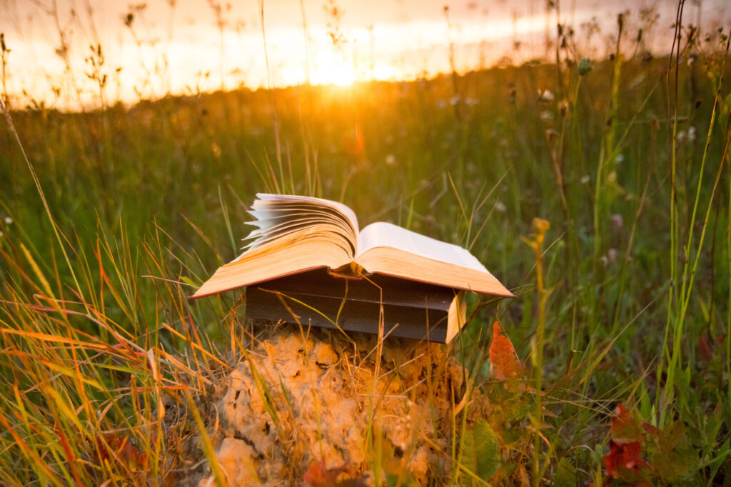 Livres